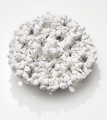 Trofé White