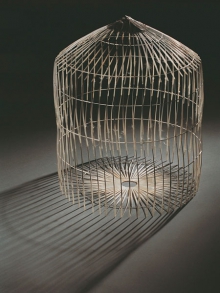 The cage