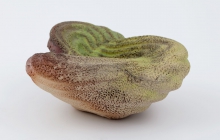 Sug