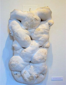 Form, hvit
