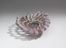 Rosa spiral